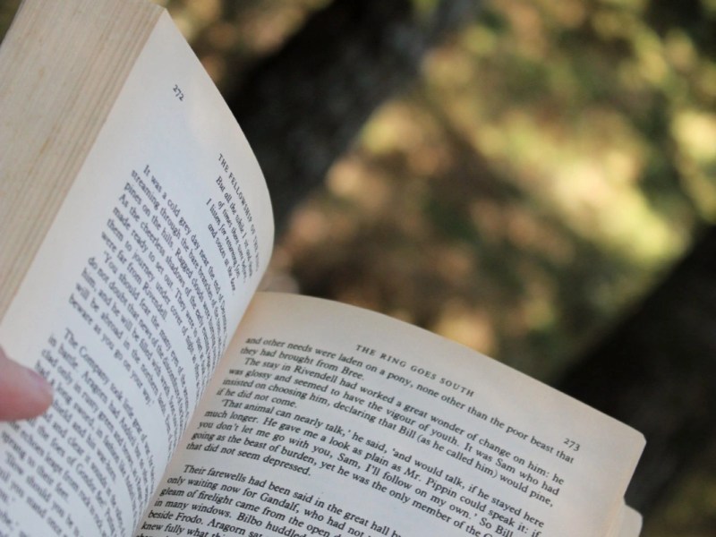 Los tipos de corrección de&nbsp;textos