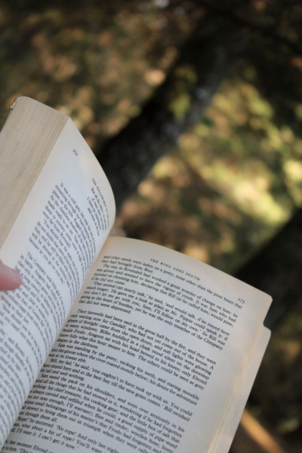 Los tipos de corrección de&nbsp;textos